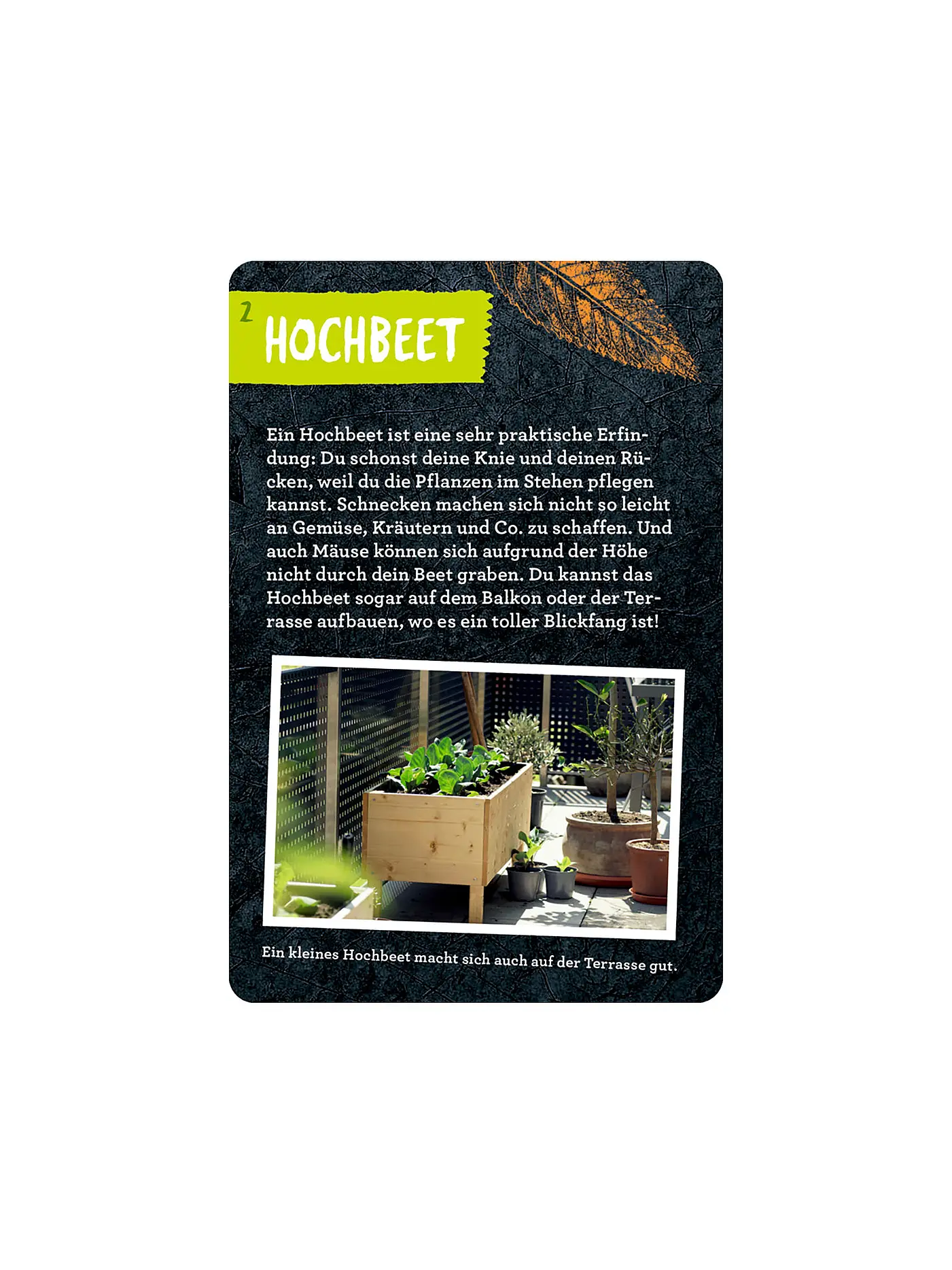 COPPENRATH VERLAG | Buch - 50 Garten-Projekte, Stefanie Zysk | 